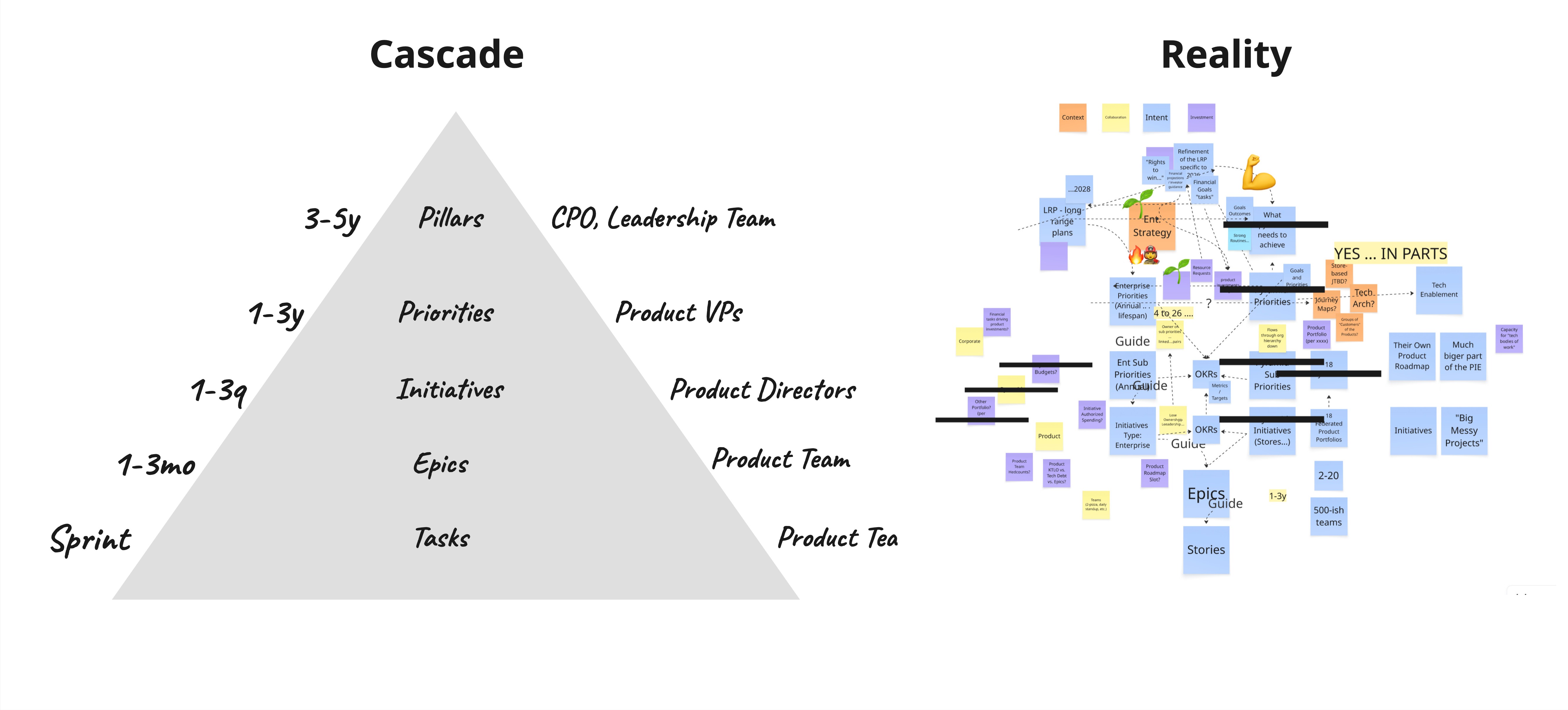 Cascade versus reality